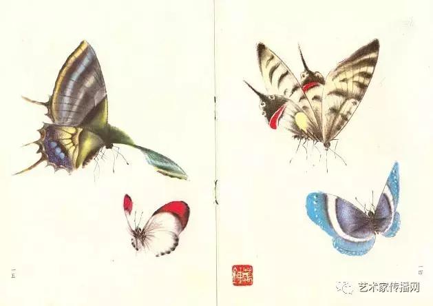 赏心悦目!1000只高清工笔蝴蝶,画蝶三剑客惊艳国人!