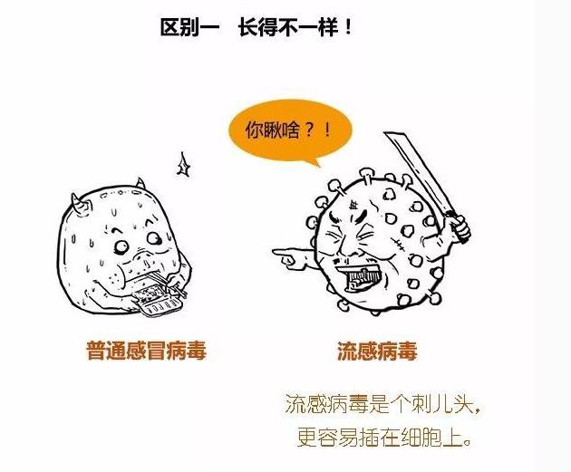 漫画图解:普通感冒和流感的区别