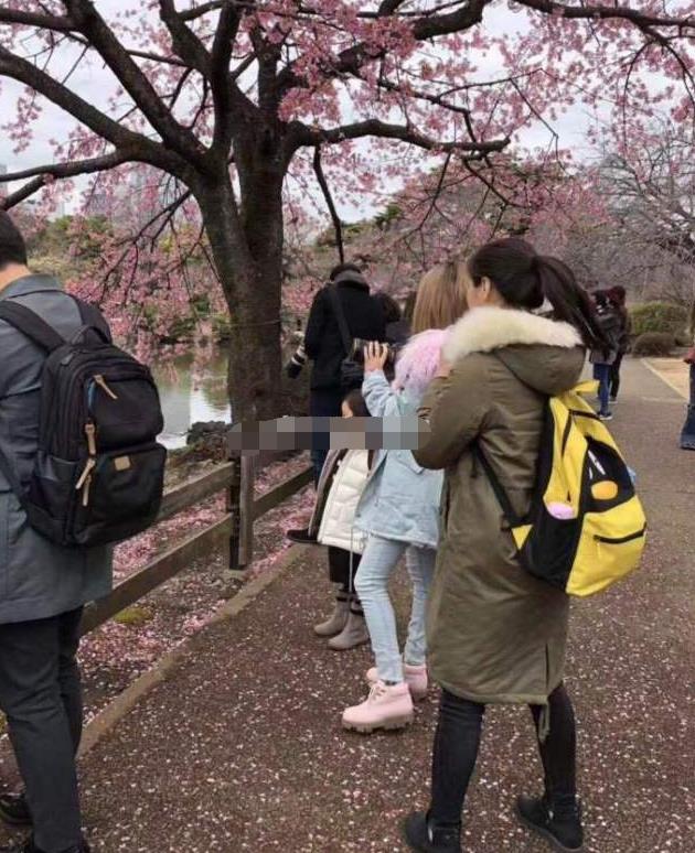 网友日本偶遇李小璐带甜馨赏樱花拍照心情好,