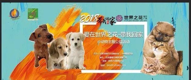 「回顾」北京市保护小动物协会携手友安共建爱