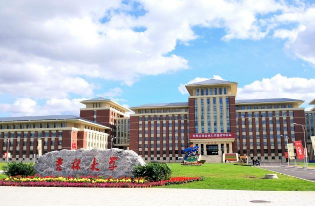 大学的面积小,会很痛苦,面积太大,结果却是