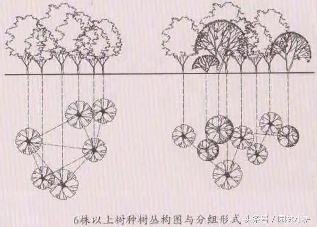 树丛平面图手绘