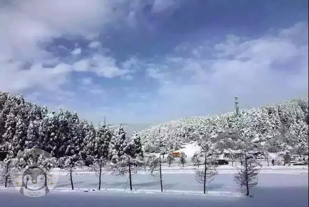 冬天怎么能错过耍雪 重庆周边10大滑雪场全攻略