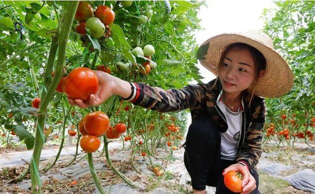 2018年农村选举村干部的标准来了,这3类人最
