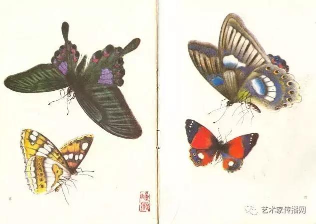 赏心悦目!1000只高清工笔蝴蝶,画蝶三剑客惊艳国人!