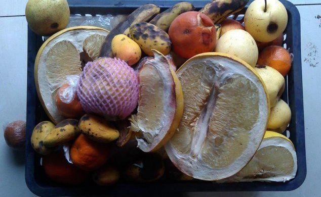 奶粉酸奶大豆油,这些东西越过期,养花越好使!