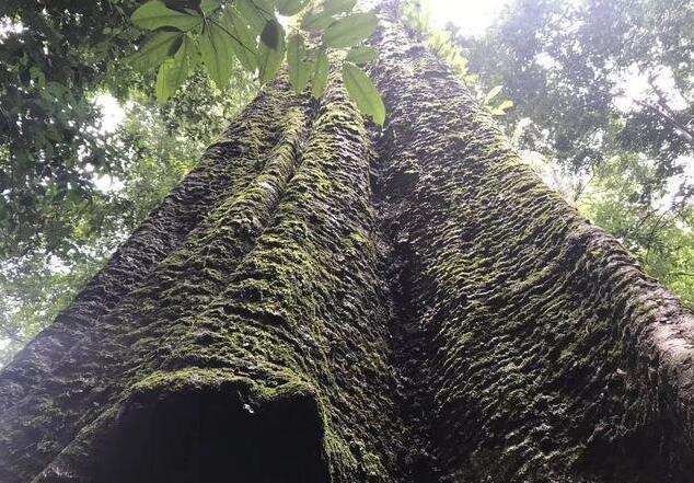 赞比亚有多少人口_赞比亚地图(3)