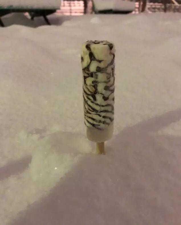 每生产一支口红,就有一只狗失去小丁丁,没有买