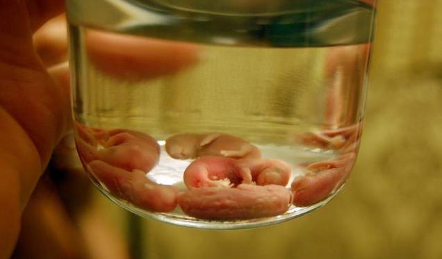 让人作呕的五种酒,中国榜上有名,韩国第一!