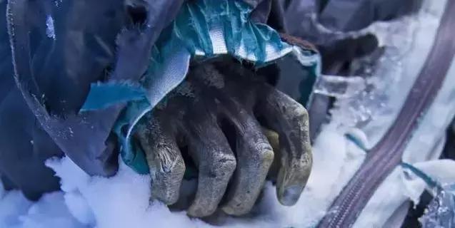 如果人在珠穆朗玛峰倒下，70年后尸体会发生什么变化?