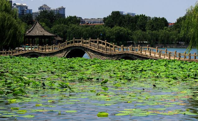 山东省济南市历下区旅游景点《大明湖》