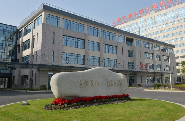 前妻有了宝宝, 我的新的老婆也有了宝宝却不知