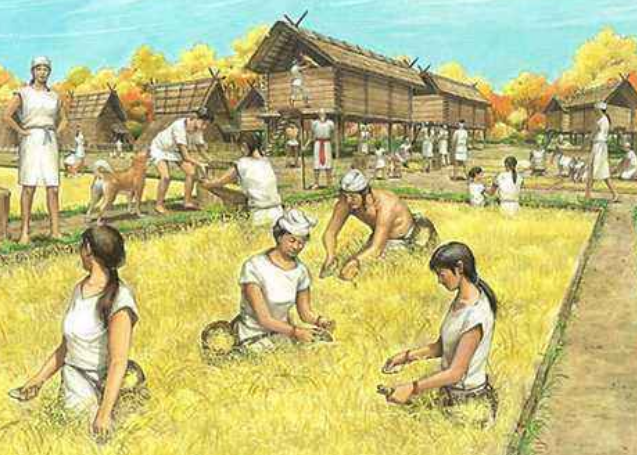 日本网友:中国历史很辉煌不是吗?评论有句话,