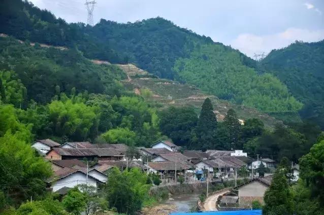 藏在大山深处,美丽而神秘,它是浙江的西双版纳!