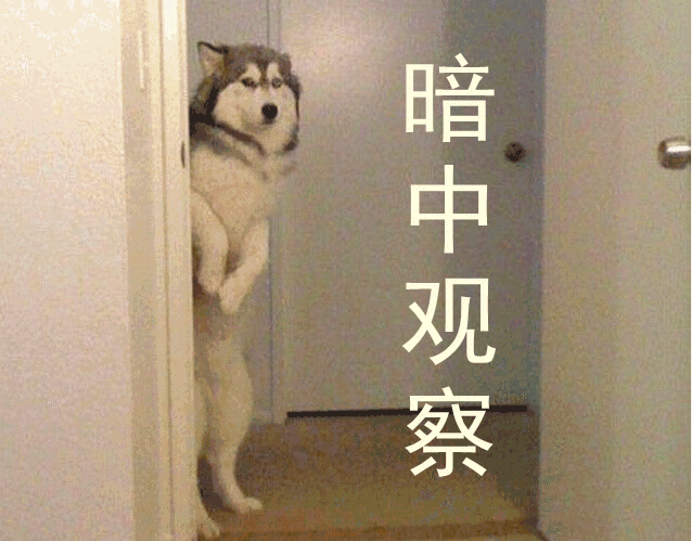 ▼ 你们可能不信, 第一次吃西兰花,他是多么的高兴 兴奋到尬舞~ ▼