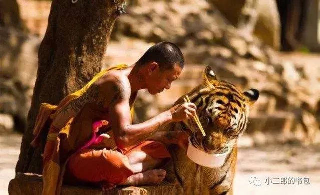 诗和远方就在你的脚下, 哪些关于旅行唯美的句子