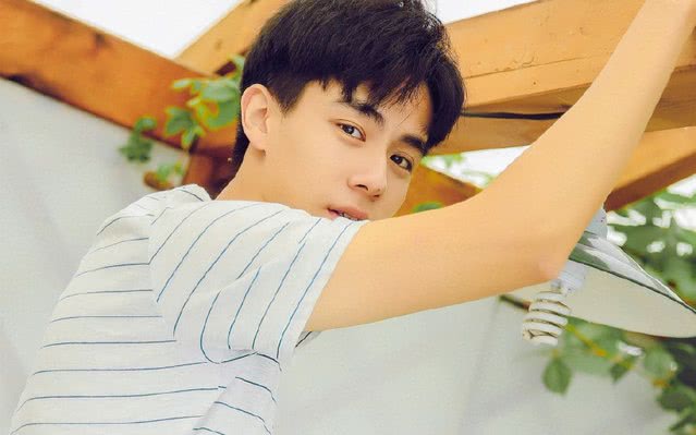 小学生最喜欢的明星,可以进来看看这篇文章