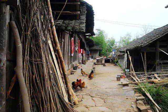 真实的云南农村,看完你有什么感触?
