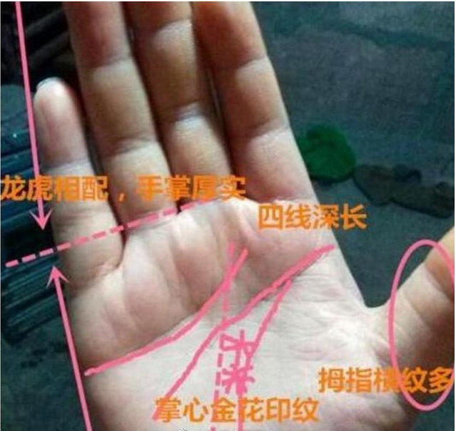 "这种"手相的人了不得!女必嫁贵夫,男必娶旺妻