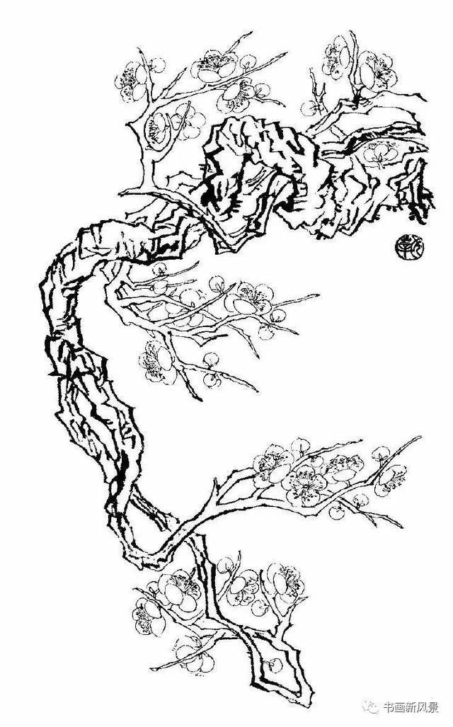 又一组梅花白描画谱!老树虬枝,苍劲高洁!