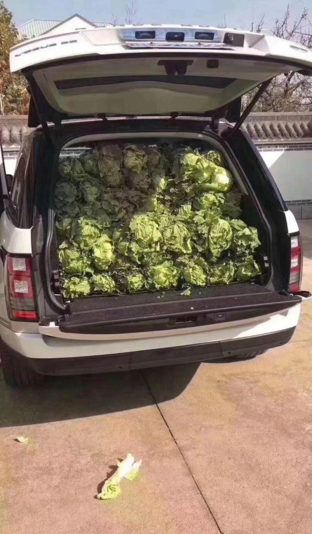 街拍路虎揽胜运动版/老板竟然用它卖白菜