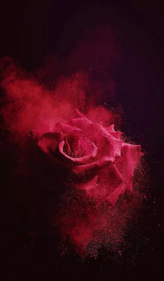 手机壁纸丨请君选图|墙纸|壁纸|苹果手机