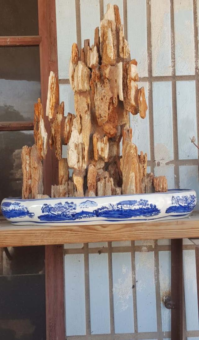 利用掉落的石头碎片和零碎的小造型石头加工制作出了小型假山盆景