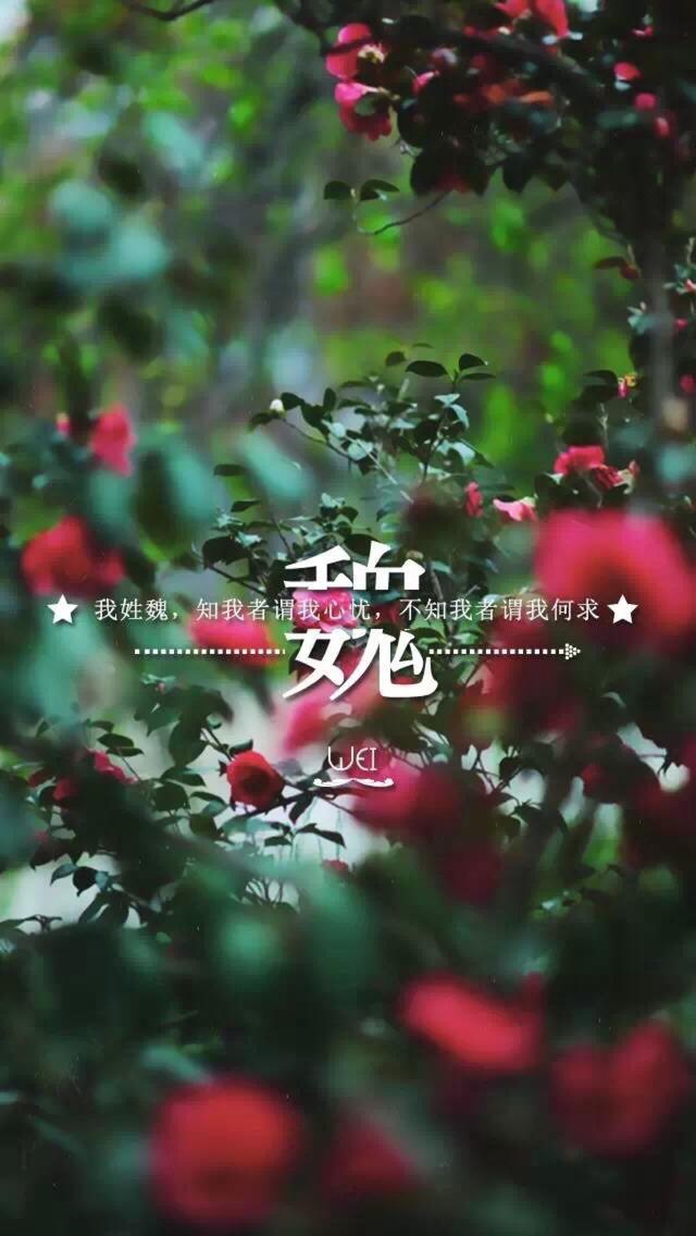 「手机壁纸」2018年第一波姓氏壁纸 谁没有 评论见?