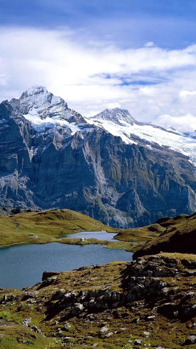 很成熟很现实的一段话