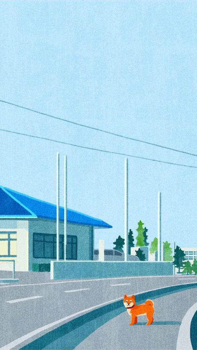 有趣表情包,一只小柴犬,可爱狗狗插画壁纸治愈