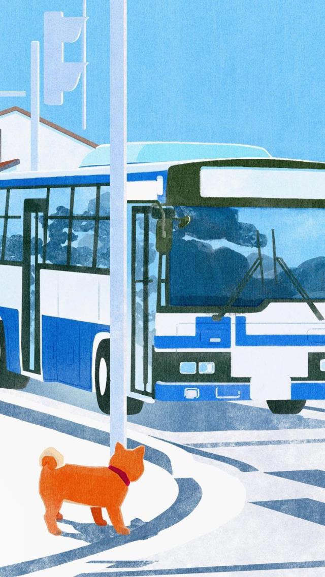 有趣表情包,一只小柴犬,可爱狗狗插画壁纸治愈