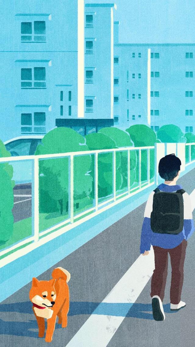 有趣表情包,一只小柴犬,可爱狗狗插画壁纸治愈