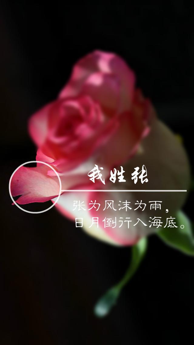 姓氏壁纸:一个姓氏,一句唯美诗句