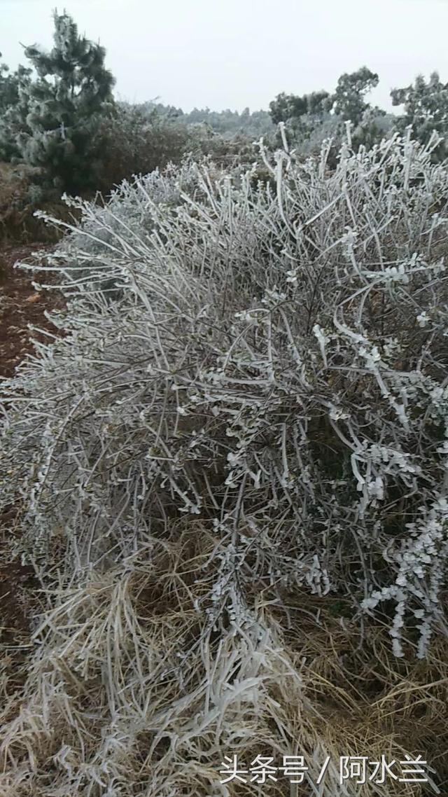 独生女想招上门女婿,相亲对象提出要500万彩礼