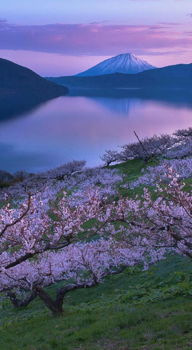 2020手机壁纸高清风景,超高清山水风景壁纸 虽说人美但世间风景的变幻莫测,玄奇曼妙却也赏心悦目|高清壁纸