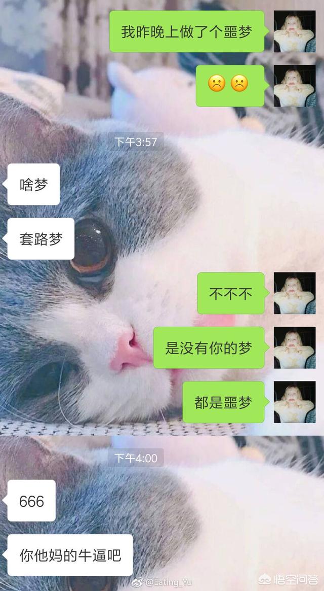 和女生聊天,有哪些经典套路的句子?