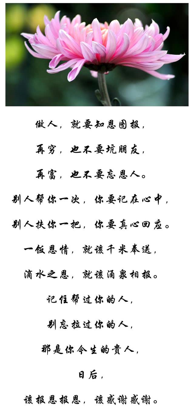 人在做,天在看,再穷,不坑朋友;再富,不忘恩人!