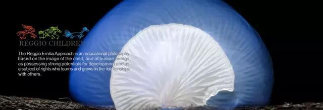 鲸趣教育:瑞吉欧教育对中国幼儿园课程改革的