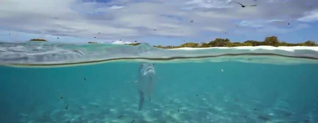 豆瓣评分9.9分 这部将近满分的大片你看过吗