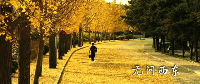 《无问西东》12号上映,迟到五年,毛不易深情献唱主题曲《无问》