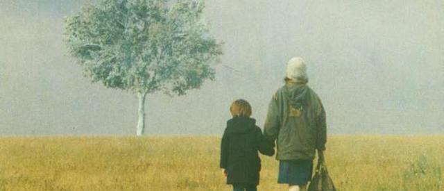 美丽如诗的公路电影--《雾中风景》