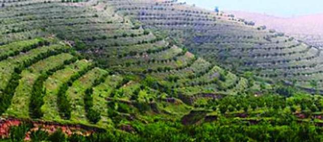 2018农村新政策出台,有九项补贴可以拿到手,这些你清楚吗?