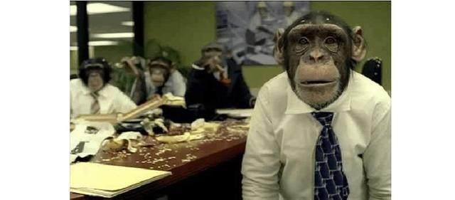 程序员表情包，网友:最喜欢第11个