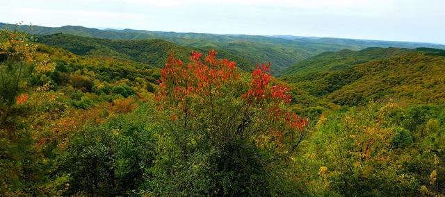 甘肃省最东端的地级市,被誉为永远的红区