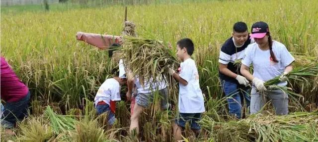 成都周边这4个冷门古镇人少新鲜又好玩，两个小时可达！！