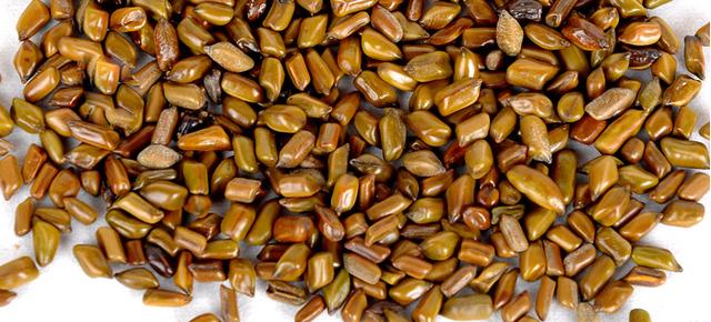 甘油三酯高?常吃7种食物,就能慢慢降下来