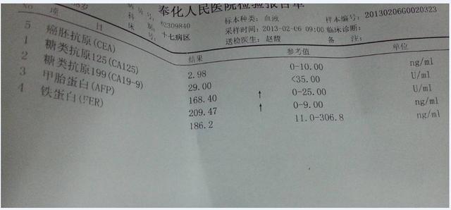 甲胎蛋白是什么意思?