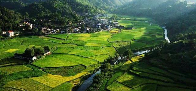 赣南脐橙、寻乌脐橙、红玉血橙…中国到底哪里