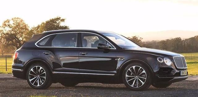 开着4秒破百的SUV去打猎！只能说你们歪果仁真的会玩！