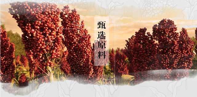 现在市面上十几块一斤的酱香酒，是纯粮酿造还是制假？
